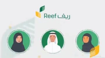 برنامج ريف 1