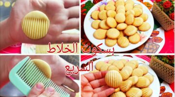 بسكوت الخلاط