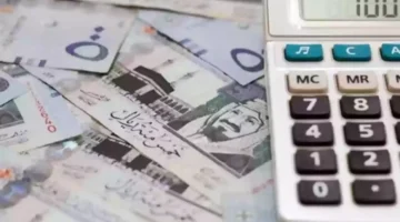 بنك التنمية الاجتماعية يوفر قرض شخصي لربة منزل بدون ضامن