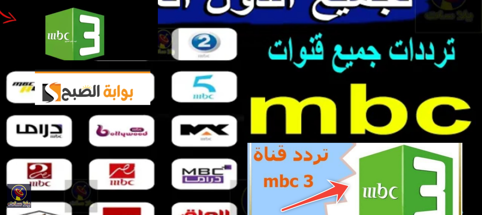 تردد قناة mbc 3 أشهر قنوات الأطفال على النايل سات والعرب سات 2024 2 تردد قناة mbc 3 أشهر قنوات الأطفال على النايل سات والعرب سات 2024