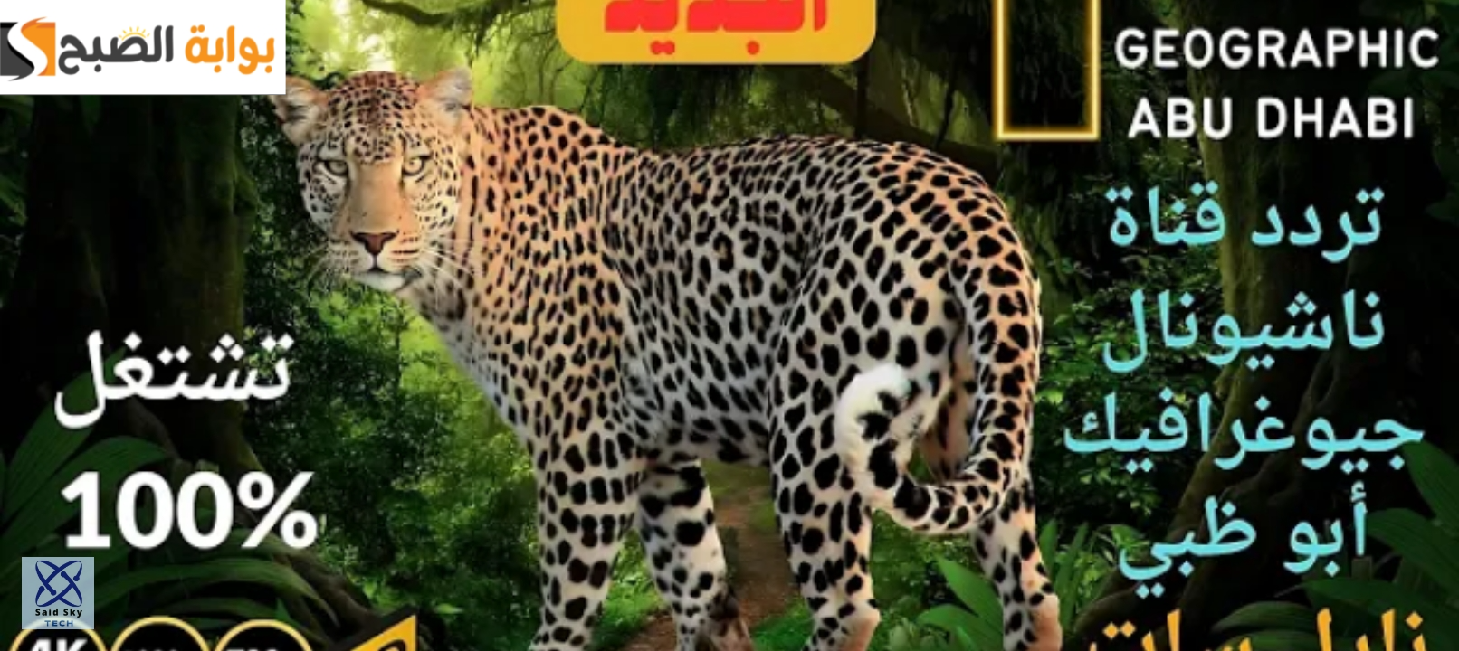 احدث تردد قناة ناشيونال جيوغرافيك أبو ظبي HD نايل سات وعرب سات 2024 5 احدث تردد قناة ناشيونال جيوغرافيك أبو ظبي HD نايل سات وعرب سات 2024