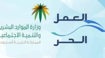 تمويل العمل الحر من بنك التنمية الاجتماعية