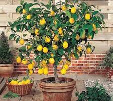 تنزيل 2023 11 12T214252.483