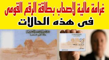 حالات الغرامة للبطاقات الشخصية في مصر