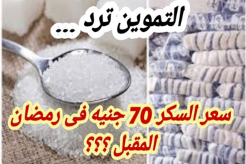 التموين تكشف حقيقة وصول سعر كيلو السكر لـ 70 جنيها في رمضان المقبل