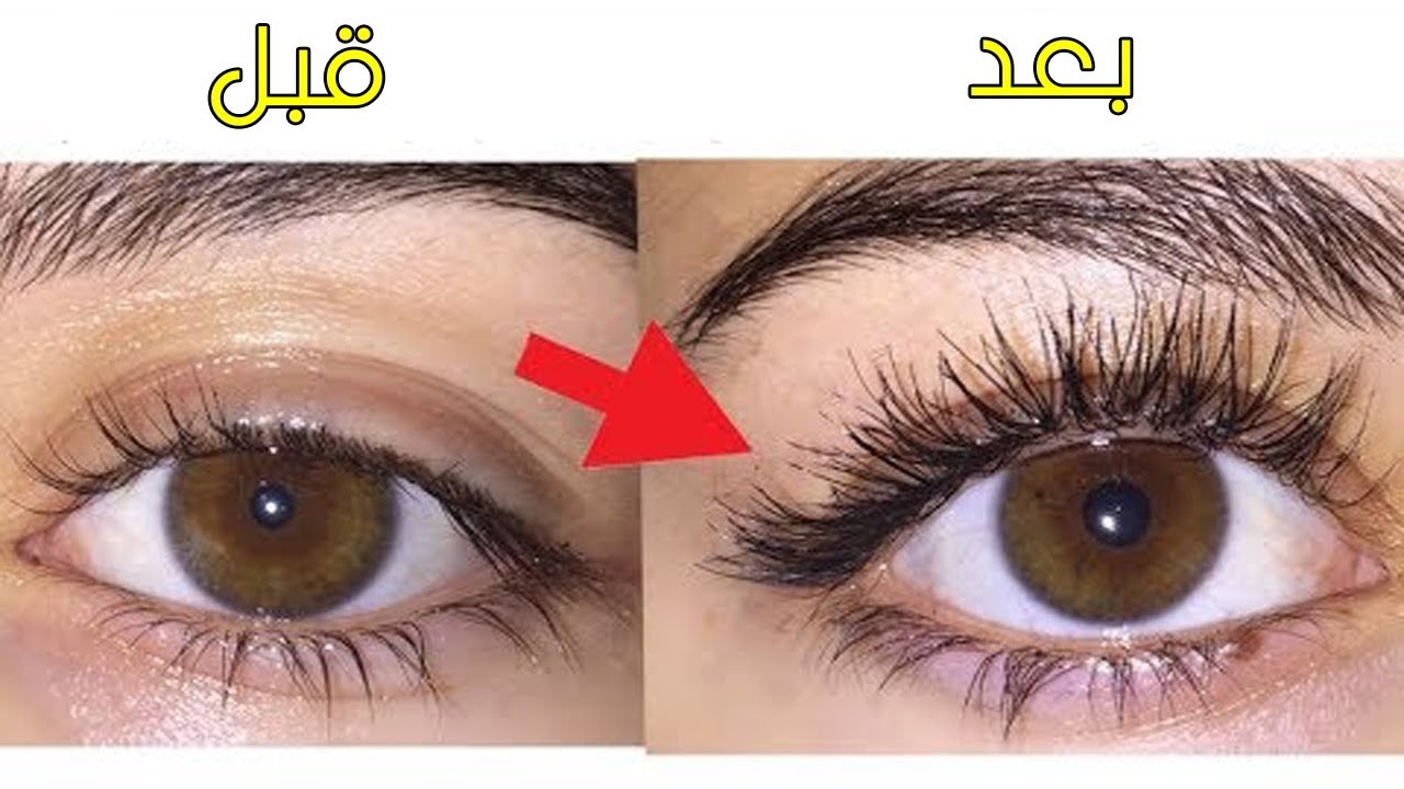 وصفات طبيعية لتكثيف الحواجب والشعر بمكونات سريعة وأمنة 5 وصفات طبيعية لتكثيف الحواجب والشعر بمكونات سريعة وأمنة