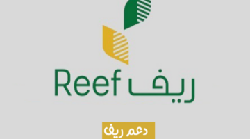 دعم ريف تسجيل جديد1