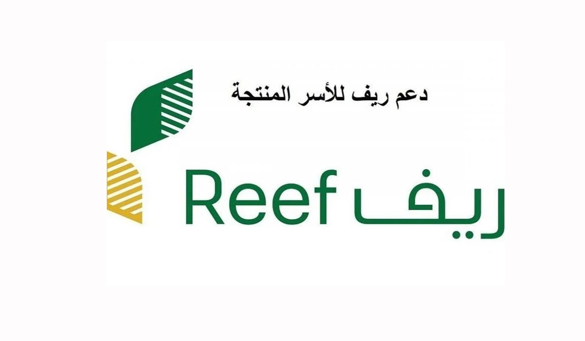 بالخطوات والرابط... كيفية الاستعلام عن دعم ريف دفعة شهر مارس 2025 وأسباب رفض نزول الدعم 2 بالخطوات والرابط… كيفية الاستعلام عن دعم ريف دفعة شهر مارس 2025 وأسباب رفض نزول الدعم
