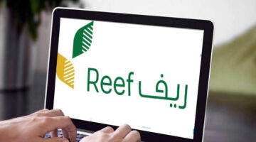 دورات تدريبية التقديم عن بعد برنامج ريف لاب توب وظائف