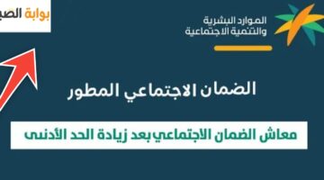 رابط منصة الدعم والحماية الاجتماعية الضمان