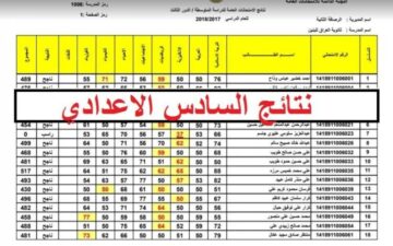 pdf رابط نتائج السادس الاعدادي الدور الثالث 2023 عبر موقع وزارة التربية العراقية في عموم المحافظات العراقية