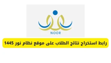 الآن.. رابط نتائج الفصل الدراسي الأول 1445 عبر نظام نور لجميع المراحل