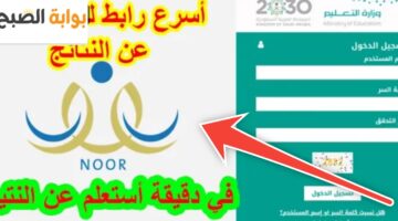 رابط نظام نور