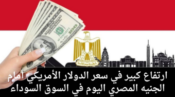 سعر الدولار أمام الجنيه المصري اليوم