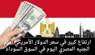 “انهاردة بكام” حصل إيه لـ سعر الدولار أمام الجنيه المصري اليوم في البنوك المصرية والدولية