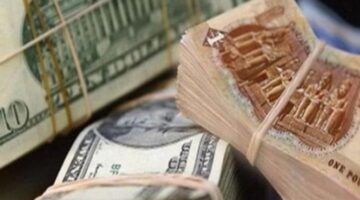 سعر الدولار أمام الجنيه اليوم الخميس 16 نوفمبر في البنوك1