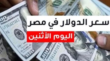 سعر الدولار في مصر اليوم الاثنين
