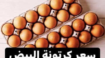 سعر كرتونة البيض