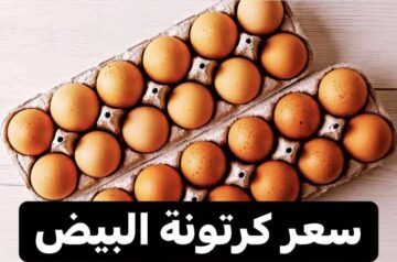 “خبر هاااام للمواطنين”.. هل سينخفض سعر كرتونة البيض من جديد لتصل 80 جنيه؟