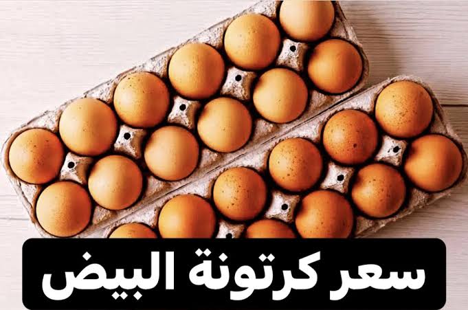 “خبر هاااام للمواطنين”.. هل سينخفض سعر كرتونة البيض من جديد لتصل 80 جنيه؟