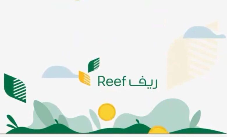 حالات إيقاف دعم ريف السعودية وما شروط الحصول علي الدعم؟