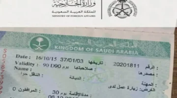 شروط تجديد تأشيرة زيارة عمل مؤقتة لمدة ثلاثة أشهر