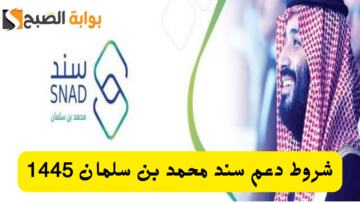شروط دعم سند محمد بن سلمان للحصول على دعم 20 ألف ريال سعودي وطريقة التسجيل في الدعم 1445