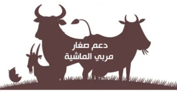 شروط دعم مربي المواشي