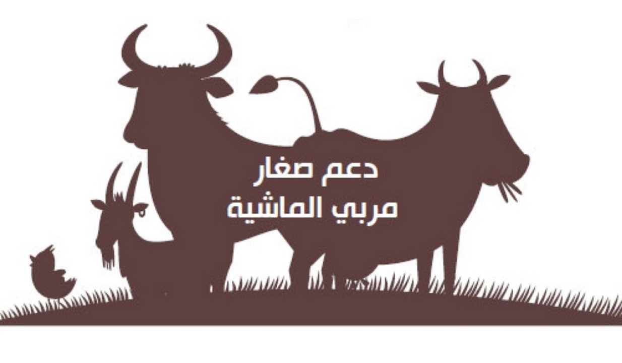 شروط دعم مربي المواشي وخطوات الاستعلام إلكترونيًا عبر وزارة البيئة والمياه والزراعة 1445 2 شروط دعم مربي المواشي وخطوات الاستعلام إلكترونيًا عبر وزارة البيئة والمياه والزراعة 1445
