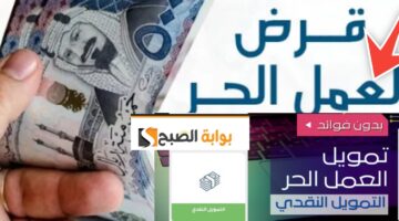 شروط قرض العمل الحر