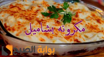 ششش