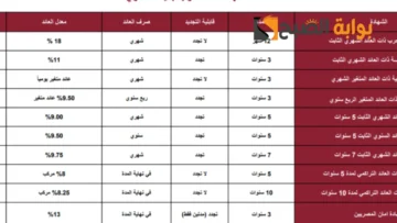 أنواع شهادات بنك مصر الجديدة 2023 بعائد سنوي تصل إلي 22 في المئة