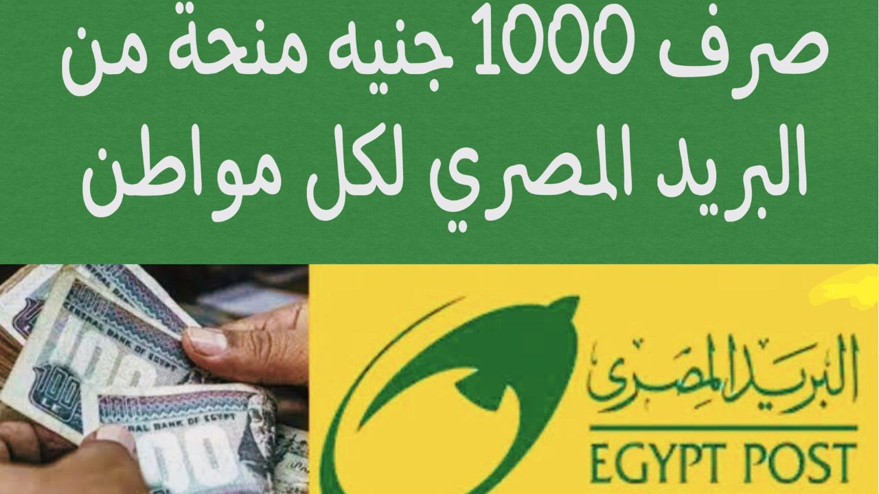 "شوف الحقيقة فين الأول".. البريد المصري يُحسم الجدل حول صرف 1000 جنيه منحة مالية لكل مواطن 5 “شوف الحقيقة فين الأول”.. البريد المصري يُحسم الجدل حول صرف 1000 جنيه منحة مالية لكل مواطن