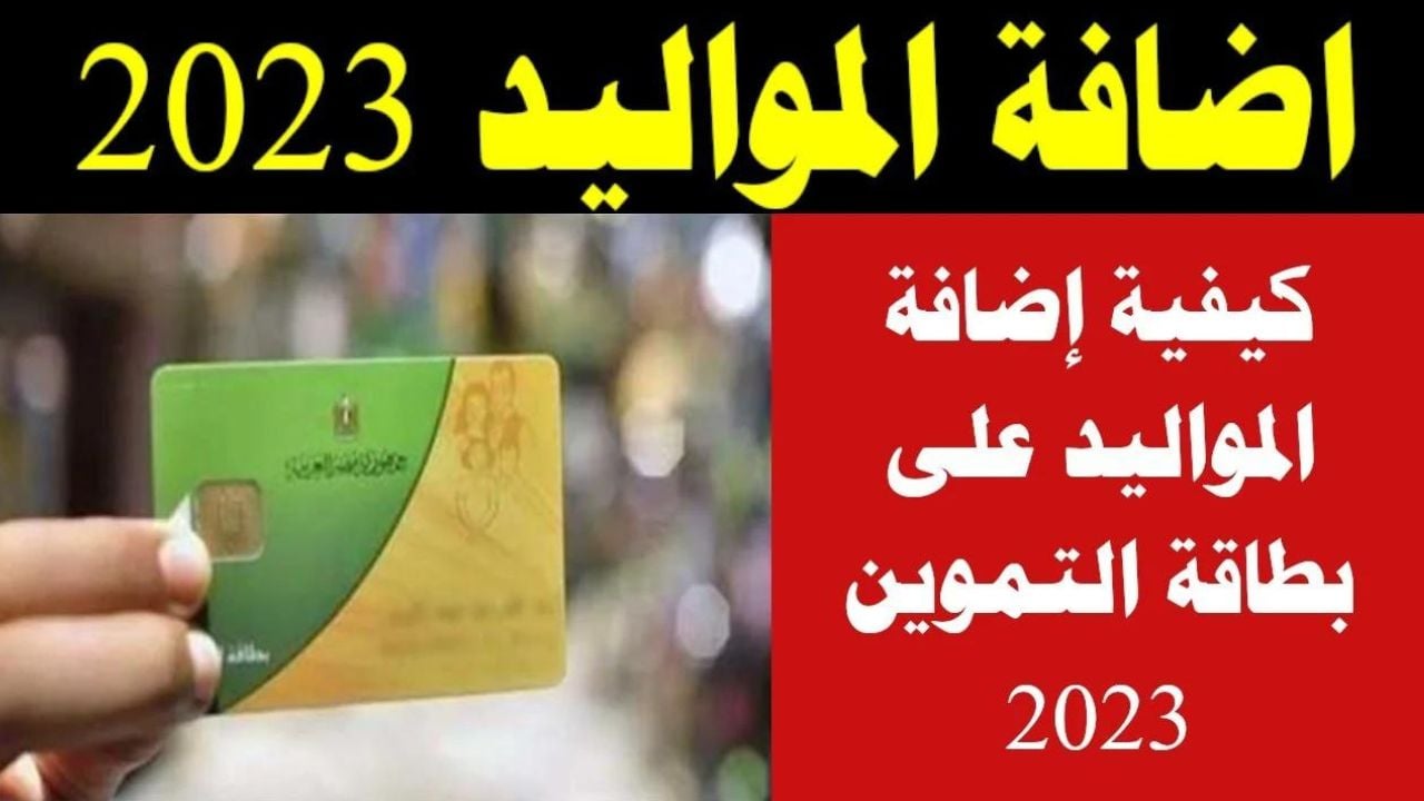 “تموينك هيزيد أخيراً”.. شروط إضافة المواليد على بطاقة التموين 2024 والفئات المستحقة وخطوات التقديم بالرابط الرسمي digital.gov.eg