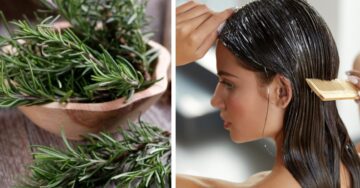 وصفة الروزماري للشعر تكثيف طبيعي سينمو بغزارة في 15 يوم واستمتعي بالنتيجة المبهرة