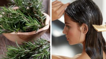 طريقة استخدام إكليل الجبل للشعر