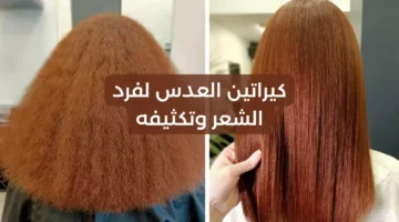 طريقة استخدام العدس للشعر