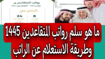 طريقة الاستعلام عن راتب التقاعد 1445 عبر المؤسسة العامة للتأمينات في السعودية والأوراق المطلوبة للمعاش