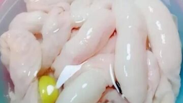 طريقة تنظيف الممبار في الكبة من الزفارة والروائح الكريهة هيبقي أبيض زي القشطة