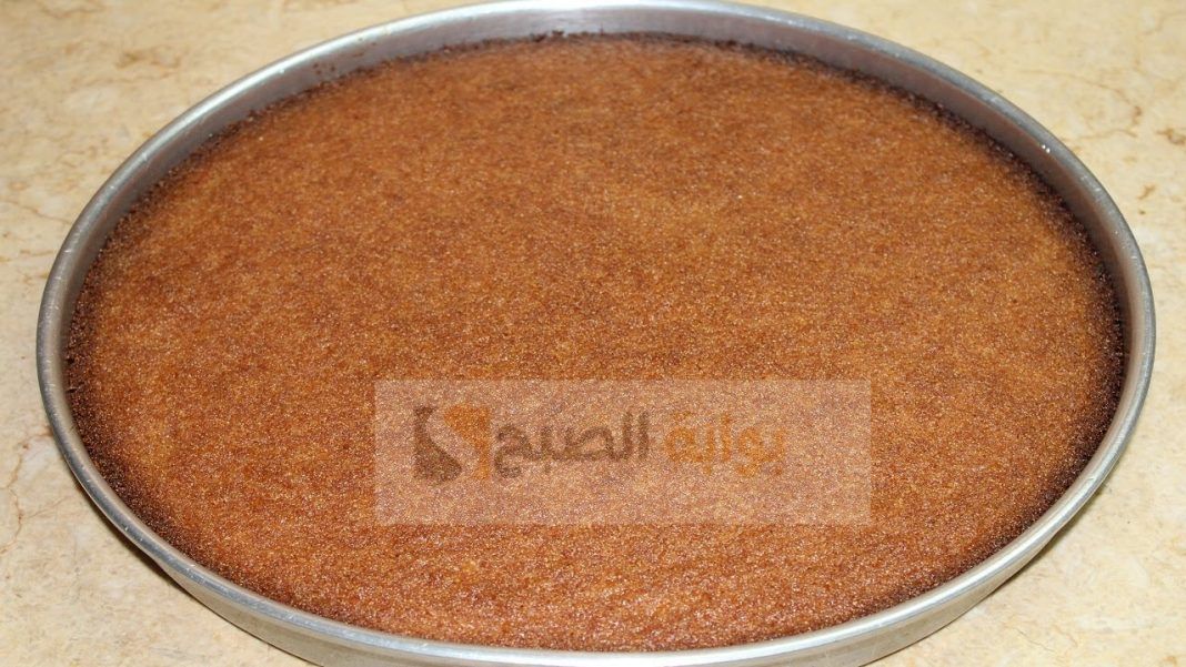 طريقة عمل البسبوسة بالزبادي وجوز الهند مثل المحلات 5 طريقة عمل البسبوسة بالزبادي وجوز الهند مثل المحلات