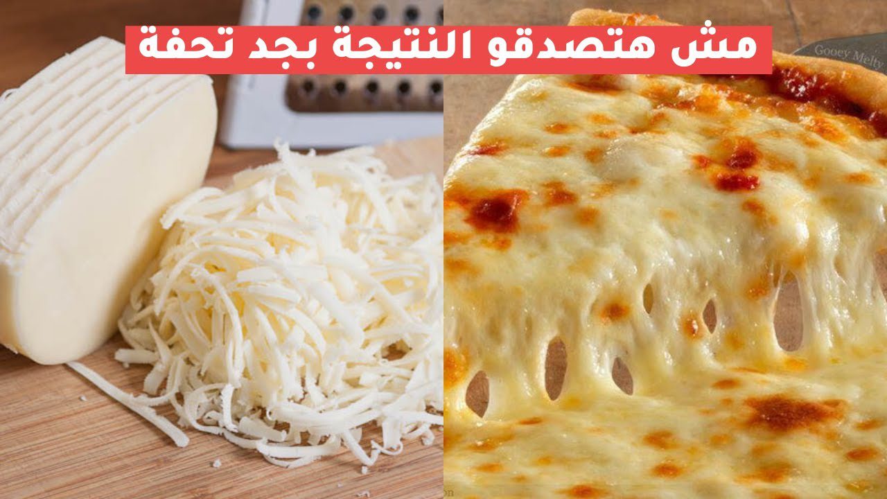الموتزاريلا المطاطية.. وصفة سهلة واقتصادية لتحضير ألذ الجبن في المنزل بمقادير اقتصادية ناجحة