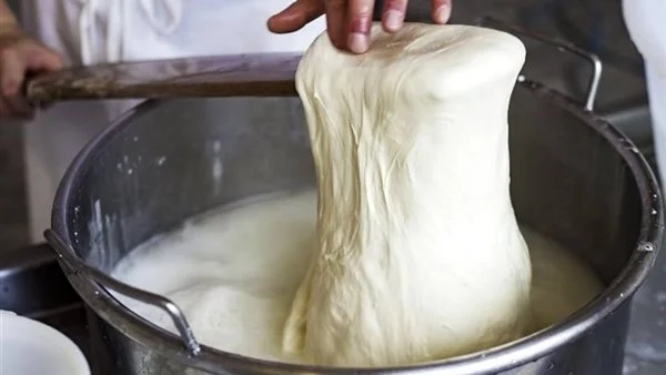 الموتزاريلا المطاطية...تعالى هقولك على طريقة عمل الجبنة الموزاريلا في البيت احسن وافر من الجاهز 6 الموتزاريلا المطاطية…تعالى هقولك على طريقة عمل الجبنة الموزاريلا في البيت احسن وافر من الجاهز