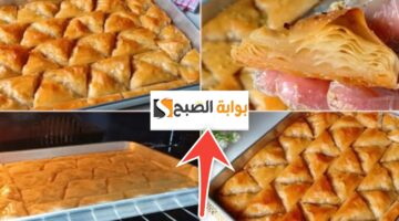 طريقة عمل الجلاش