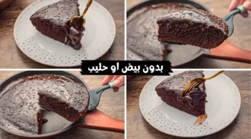 طريقة عمل كيكة بدون بيض نادية السيد