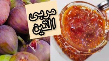 طريقة عمل مربى التين