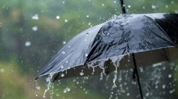 عطيل الدراسة غداً في محافظة الإسكندرية