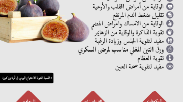 فوائد التين الصحية للرجال والنساء والأطفال