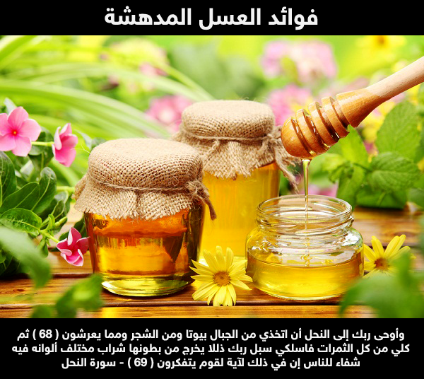 أهم أنواع وفوائد عسل النحل الطبيعي معلقة كل يوم للمناعة ومشاكل الجهاز الهضمي