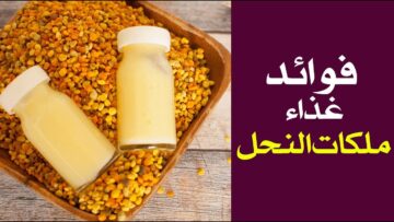 غذاء ملكات النحل له فوائد مدهشة تعرف عليها وكيفية استخدامه