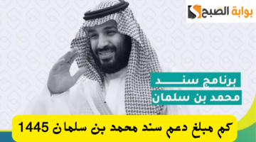 كم مبلغ دعم سند محمد بن سلمان 1445 20231114 142800 ٠٠٠٠